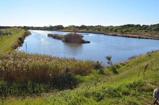 Lymington & Keyhaven Marshes